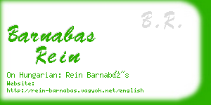 barnabas rein business card